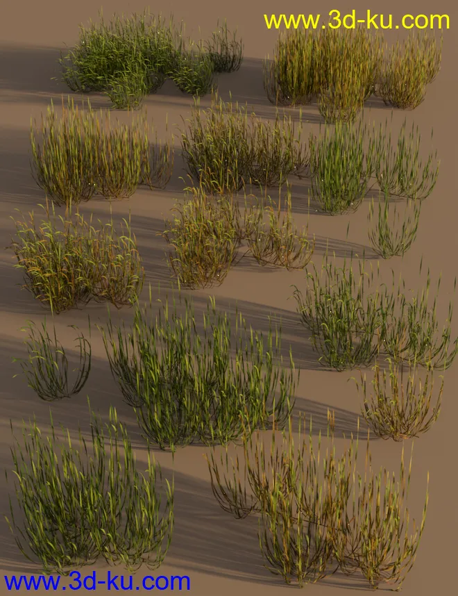 Just Beachy - Seagrass Underwater Meadows模型的图片6