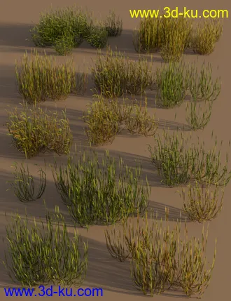 3D打印模型Just Beachy - Seagrass Underwater Meadows的图片