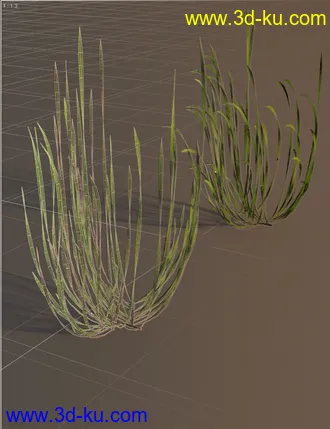 3D打印模型Just Beachy - Seagrass Underwater Meadows的图片