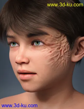 Kayden HD 8.1模型的图片15