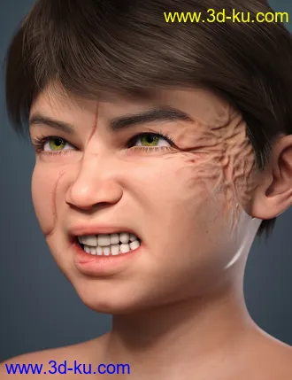 Kayden HD 8.1模型的图片17