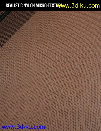 3D打印模型Lali's Bodystocking 03 with Gloves for Genesis 8.1的图片