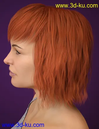 3D打印模型Lenore Hair for Genesis 8 Female(s)的图片