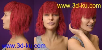 3D打印模型Lenore Hair for Genesis 8 Female(s)的图片