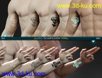 3D打印模型LIE Geo Scarification Tattoos Bundle for Genesis 8的图片