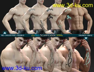 3D打印模型LIE Geo Scarification Tattoos Bundle for Genesis 8的图片