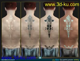 LIE Geo Scarification Tattoos Bundle for Genesis 8模型的图片36