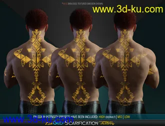 3D打印模型LIE Geo Scarification Tattoos Bundle for Genesis 8的图片