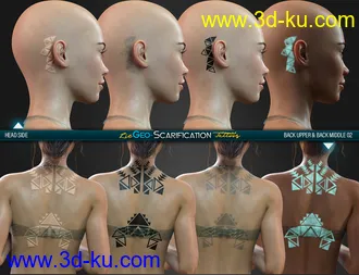 LIE Geo Scarification Tattoos Bundle for Genesis 8模型的图片60