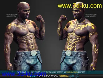 3D打印模型LIE Geo Scarification Tattoos Bundle for Genesis 8的图片