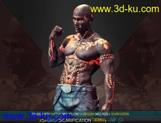 3D打印模型LIE Geo Scarification Tattoos Bundle for Genesis 8的图片