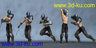 3D打印模型LingHu Sword Master的图片