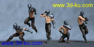 3D打印模型LingHu Sword Master的图片