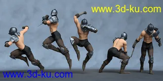 3D打印模型LingHu Sword Master的图片