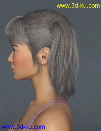 3D打印模型LinLin Character and Hair For Genesis 8 Female(s)的图片