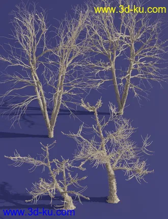 3D打印模型Lit Trees - Trees with Fairy Lights for Iray的图片