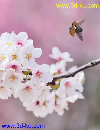 Little Friends Insect Bundle模型的图片2