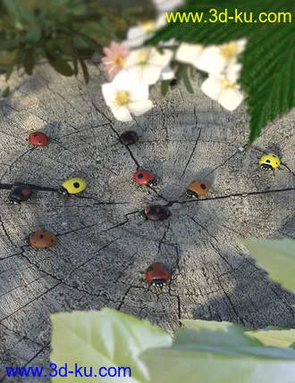 Little Friends Insect Bundle模型的图片3