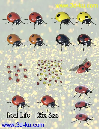 Little Friends Insect Bundle模型的图片6