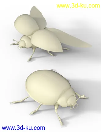 Little Friends Insect Bundle模型的图片7