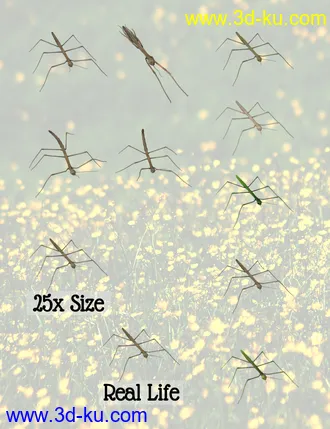 3D打印模型Little Friends Insect Bundle的图片