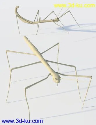 3D打印模型Little Friends Insect Bundle的图片