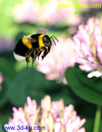 3D打印模型Little Friends Insect Bundle的图片