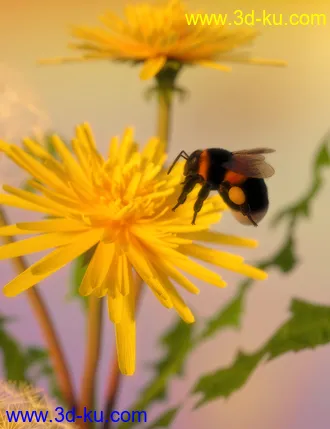 3D打印模型Little Friends Insect Bundle的图片