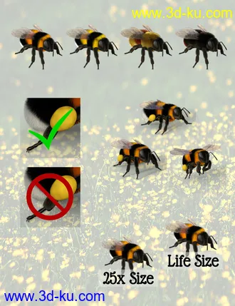 3D打印模型Little Friends Insect Bundle的图片