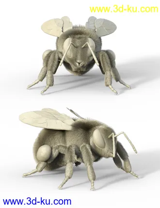 Little Friends Insect Bundle模型的图片21