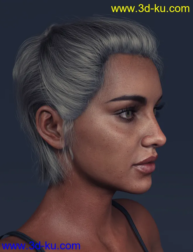 LL Hair for Genesis 8 Females模型的图片2