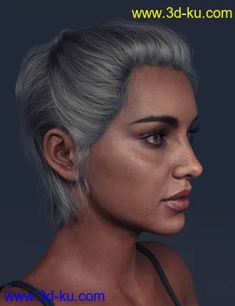 3D打印模型LL Hair for Genesis 8 Females的图片