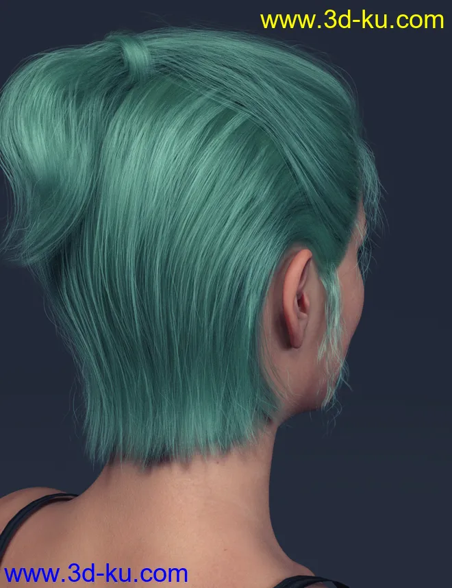 LL Hair for Genesis 8 Females模型的图片3