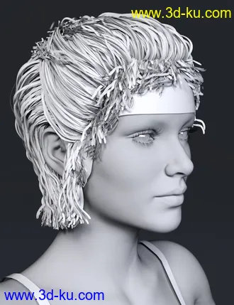 3D打印模型LL Hair for Genesis 8 Females的图片