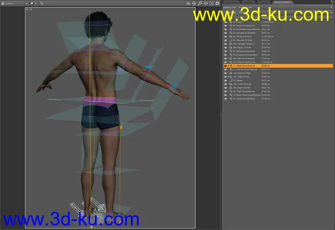 Measure Metrics for DAZ Studio 4.16模型的图片4