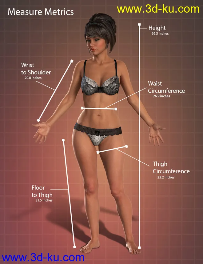 Measure Metrics for DAZ Studio 4.16模型的图片6