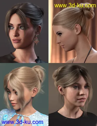 3D打印模型MEGA Updo 2 Hair for Genesis 8 and 8.1 Females的图片