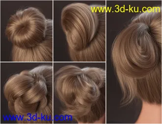 MEGA Updo 2 Hair for Genesis 8 and 8.1 Females模型的图片6
