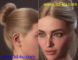 3D打印模型MEGA Updo 2 Hair for Genesis 8 and 8.1 Females的图片