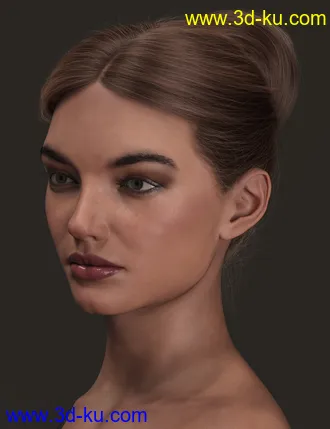 3D打印模型MEGA Updo 2 Hair for Genesis 8 and 8.1 Females的图片