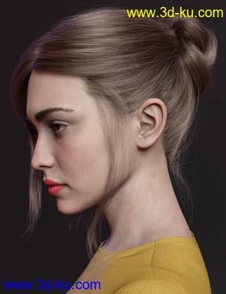 3D打印模型MEGA Updo 2 Hair for Genesis 8 and 8.1 Females的图片
