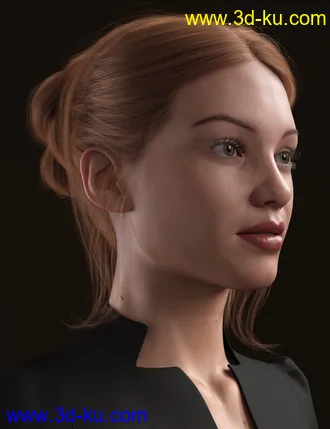 3D打印模型MEGA Updo 2 Hair for Genesis 8 and 8.1 Females的图片