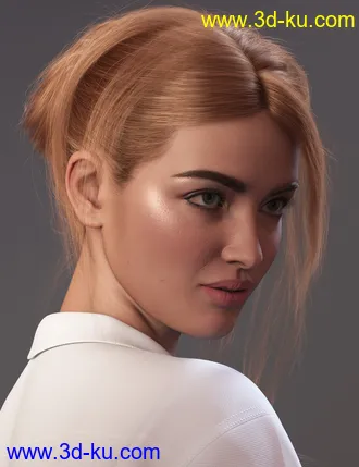3D打印模型MEGA Updo 2 Hair for Genesis 8 and 8.1 Females的图片