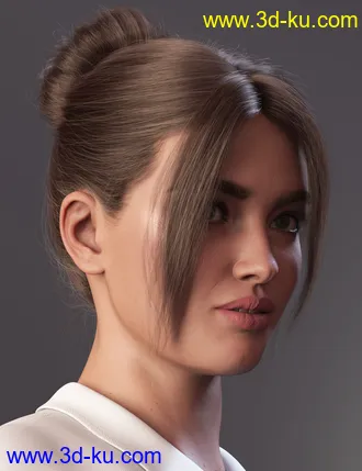 3D打印模型MEGA Updo 2 Hair for Genesis 8 and 8.1 Females的图片