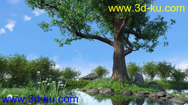 Mighty Oak模型的图片2