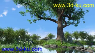 3D打印模型Mighty Oak的图片