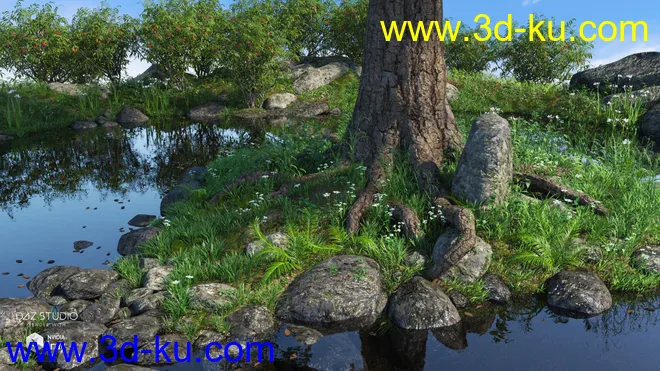 Mighty Oak模型的图片3