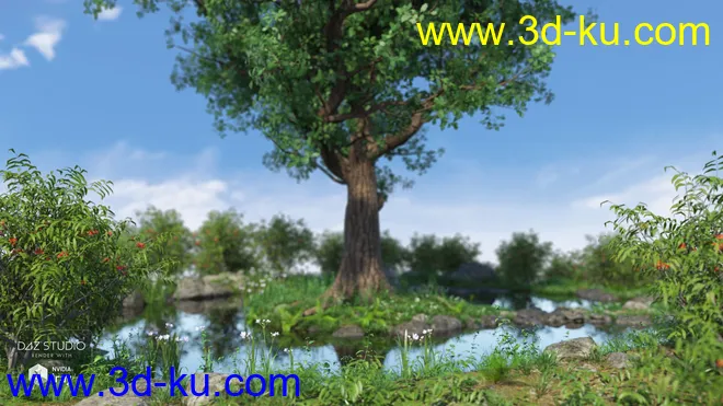 Mighty Oak模型的图片6
