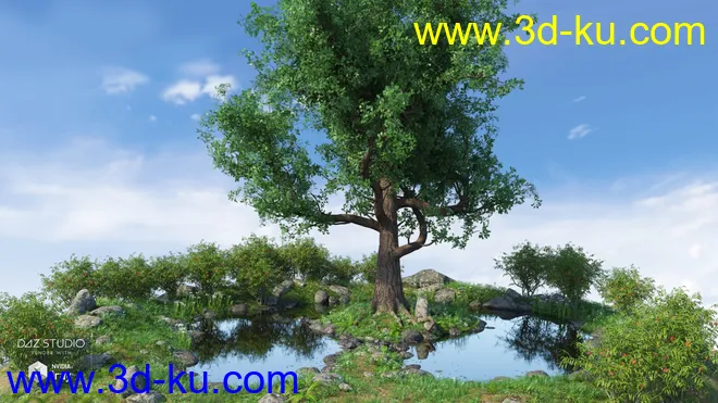 Mighty Oak模型的图片7