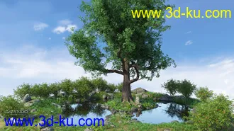 3D打印模型Mighty Oak的图片